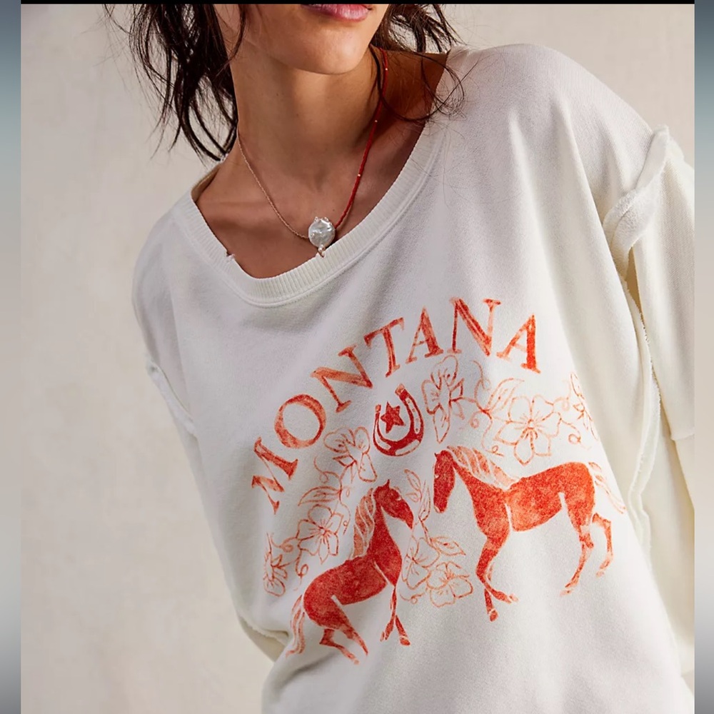 FREE PEOPLE Montana Camden Pullover SOLD OUT size Medium We The Free
